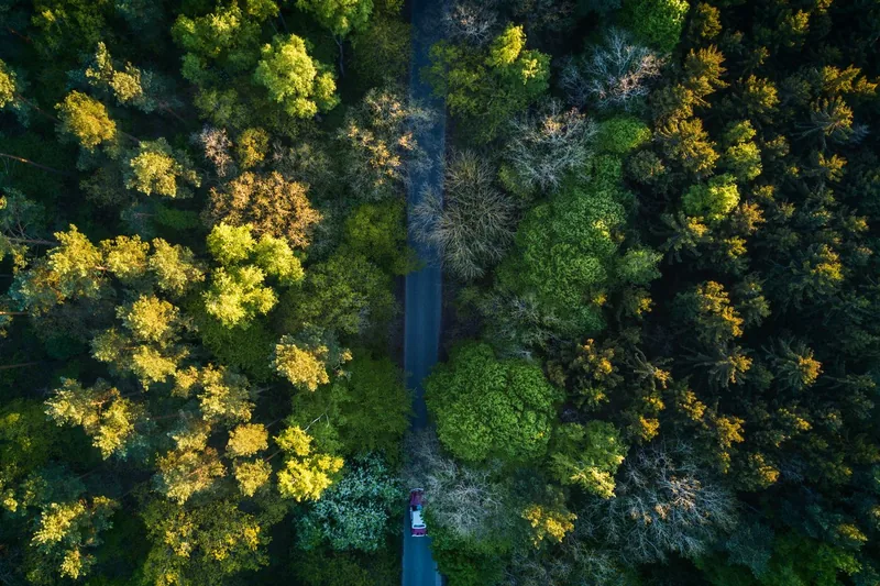 Luftbild einer Straße durch bewaldete Landschaft in der Region